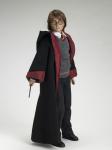 Tonner - Harry Potter - HARRY POTTER at HOGWARTS - Doll